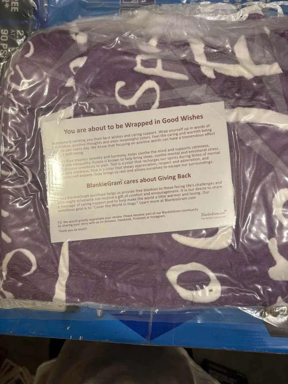 BlankieGram “You Are” Inspirational Throw Blanket – Purple – Plush Fleece Gift W